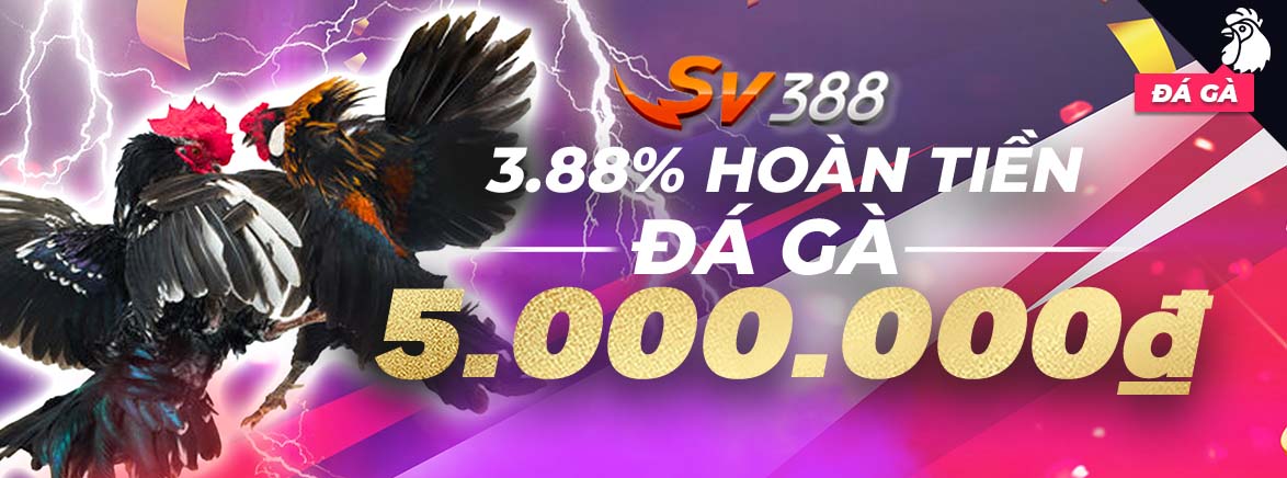 Hoàn tiền 3.88% hàng tuần tại Casino