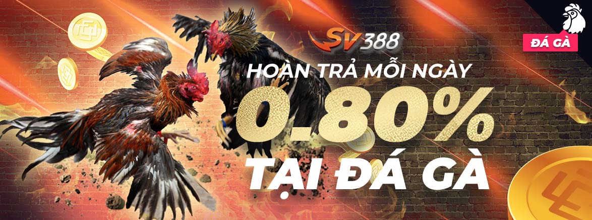 Hoàn Trả 0.80% Không Giới Hạn Mỗi ngày tại Đá Gà