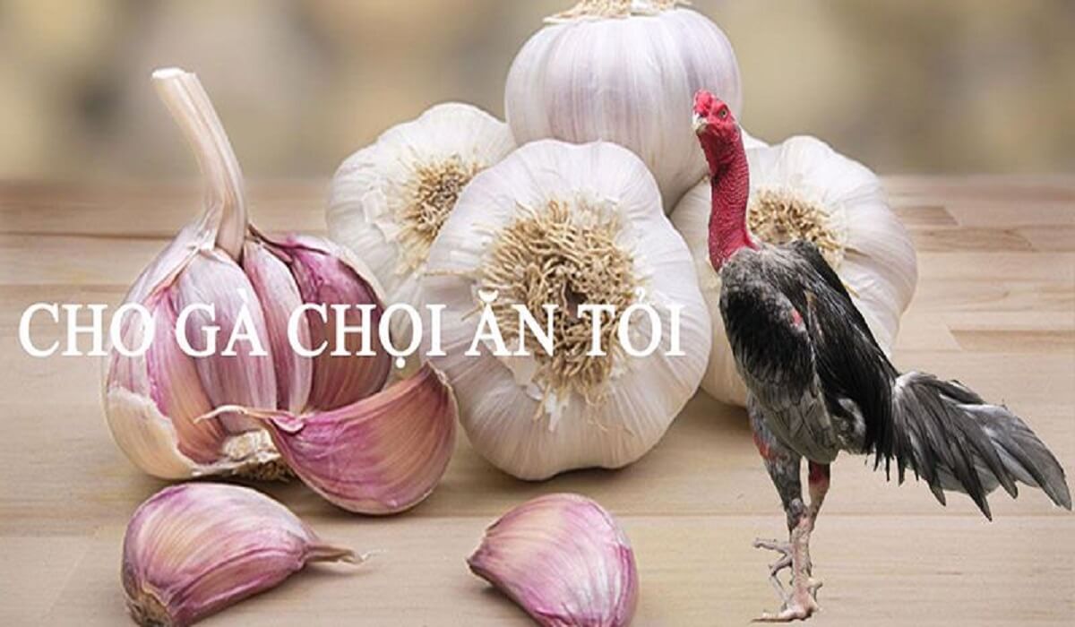 Dùng củ tỏi